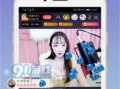 91直播平台地址多少,地址解析背后的精彩世界