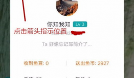 91直播里禁言扣分吗,扣分细则揭秘